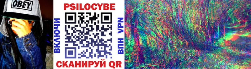 omg tor  что такое   Нижний Ломов  Галлюциногенные грибы MAGIC MUSHROOMS 